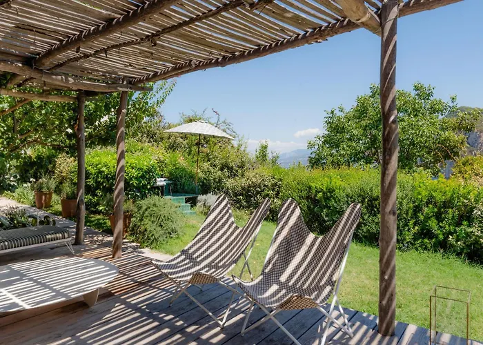 Designer House By Elite