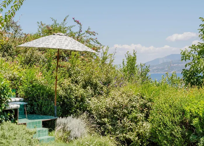 Designer House By Elite Capri