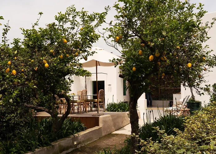 Designer House By Elite Capri